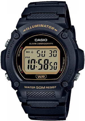 Годинник Casio TIMELESS COLLECTION W-219H-1A2VEF