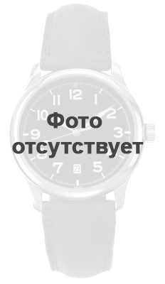 Часы CITIZEN BF2013-05PE