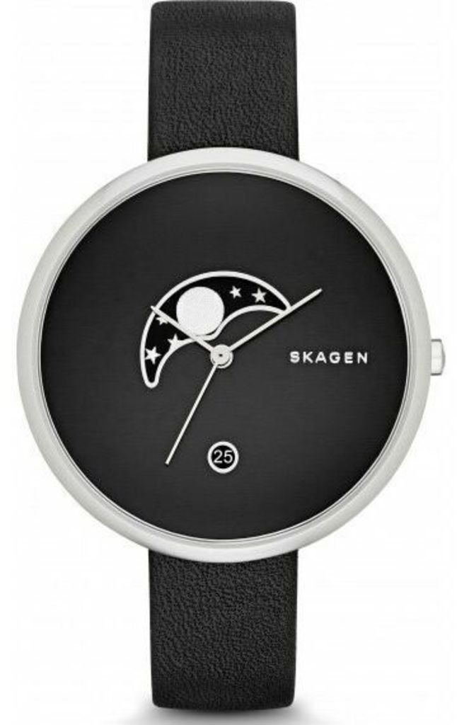 

Часы SKAGEN SKW2372, SKW2372