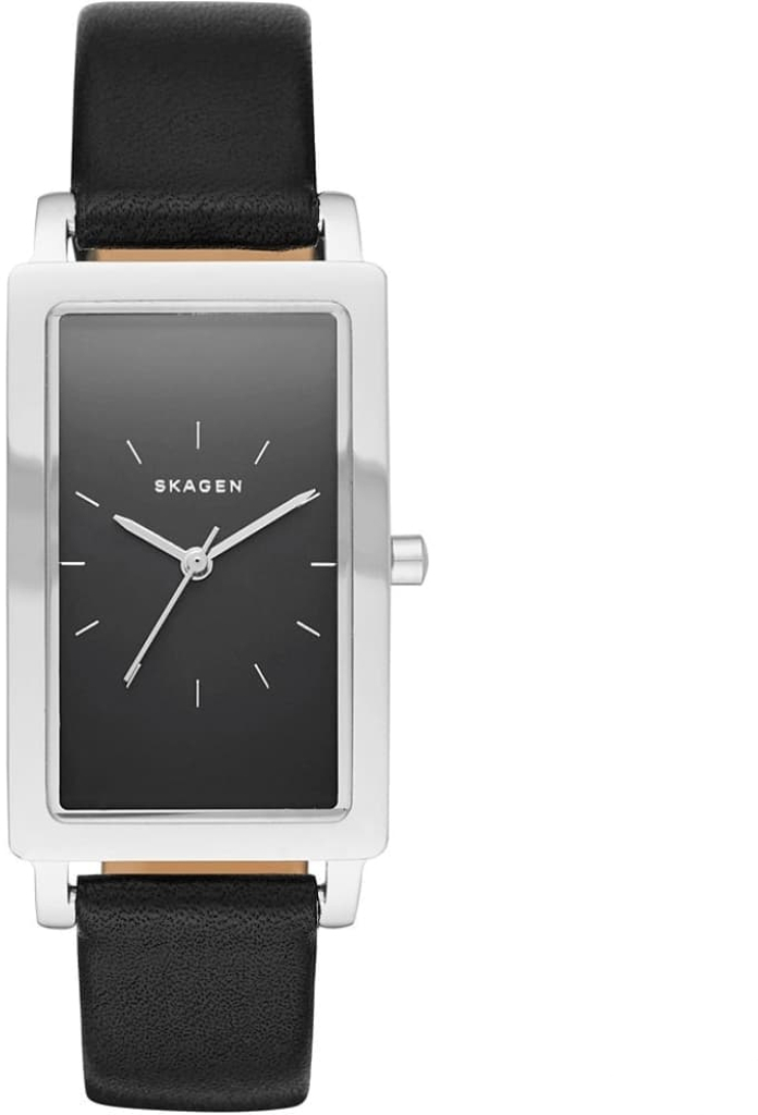 

Часы SKAGEN SKW2462, SKW2462