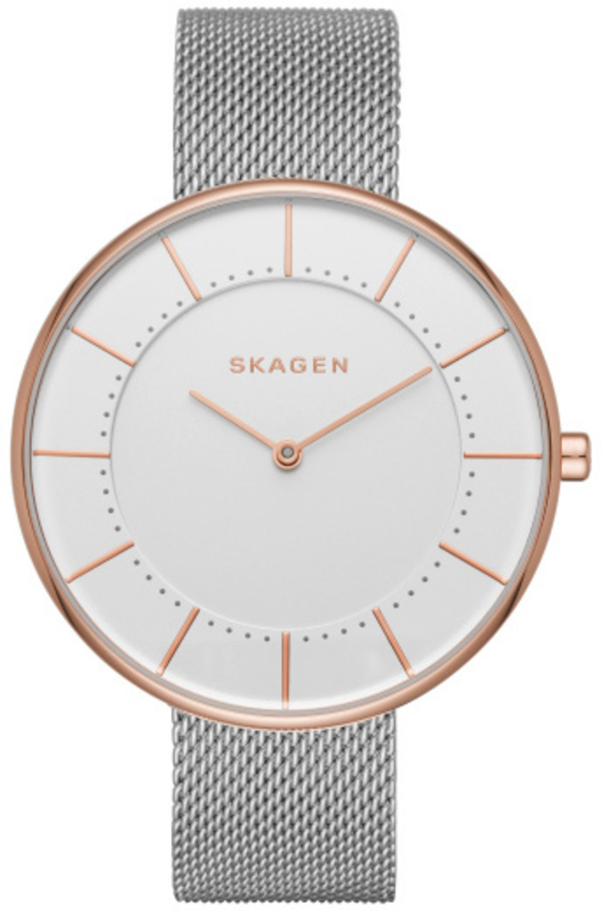 

Часы SKAGEN SKW2583, SKW2583