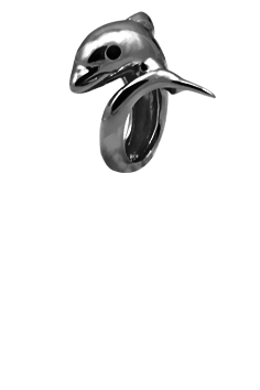 

Шарм CC - 630-B18, 630-B18