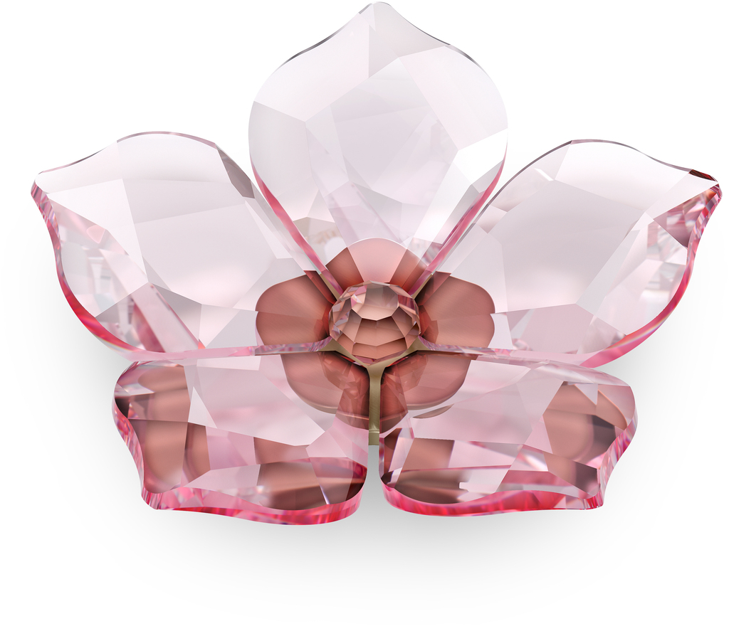 

Фигурка Swarovski GARDEN TALES - MAGNET CHERRY BLOSSOM L 5580026, 5580026